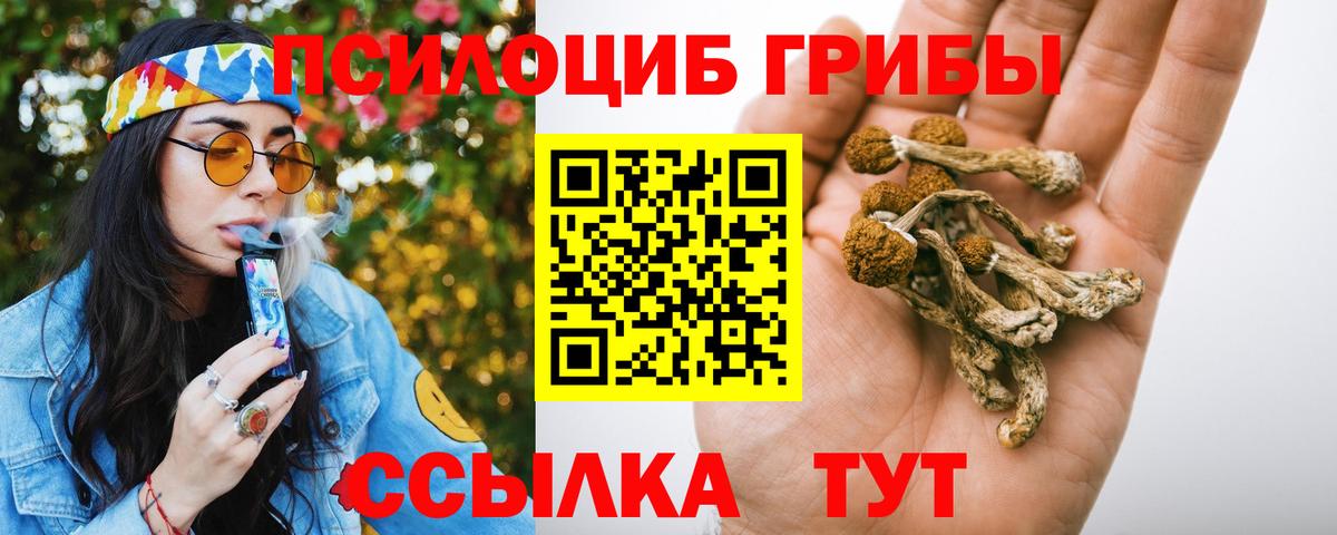 Галлюциногенные грибы мухоморы Всеволожск