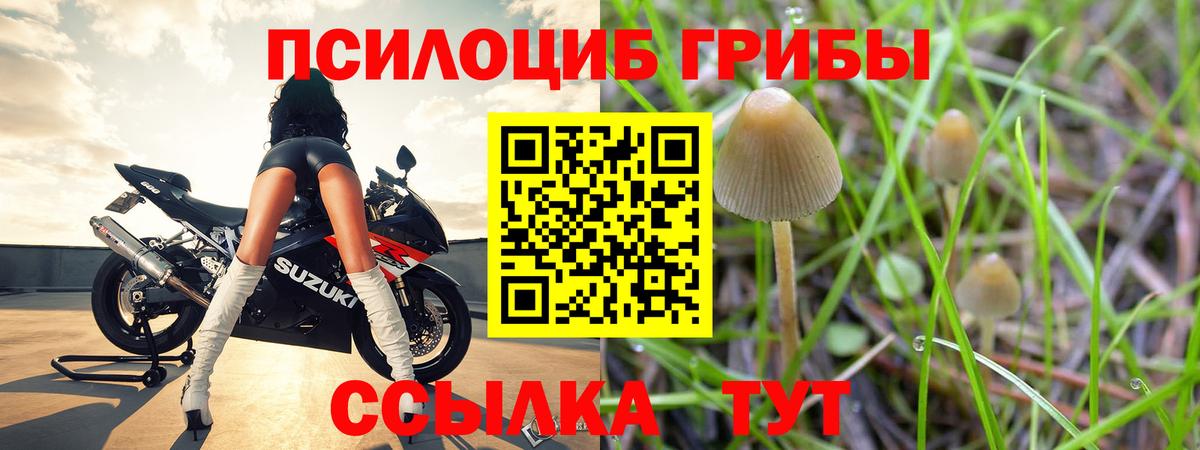 Галлюциногенные грибы GOLDEN TEACHER  Псилоцибиновые грибы GOLDEN TEACHER  Вход с VPN  Всеволожск 