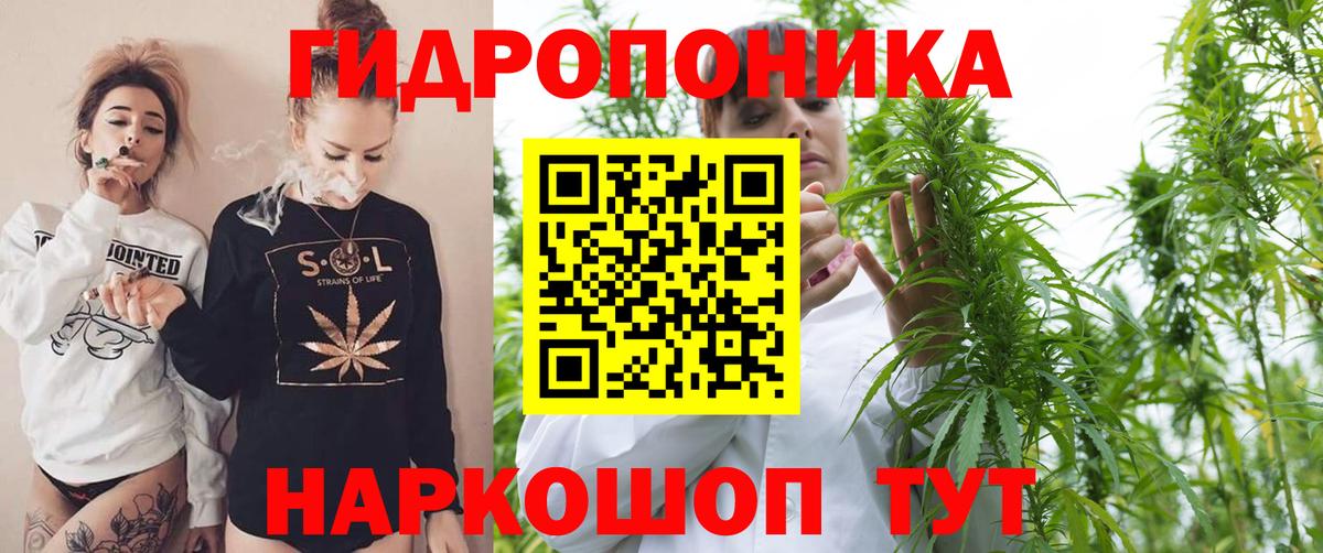 МАРИХУАНА марихуана  Вход с VPN  Каннабис OG Kush  Бошки марихуана семена  Марихуана ГИДРОПОН  Всеволожск 